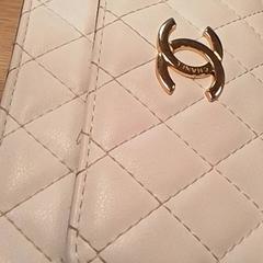 Tasje Wit, zgłoszono przez Qbuzz Fryslân przy użyciu iLost