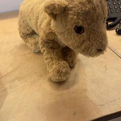 Knuffel, segons ha informat Pathé Utrecht Leidsche Rijn mitjançant iLost