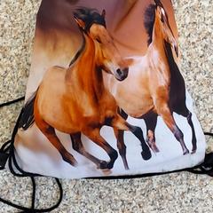 İLost kullanarak Regio West-Vlaanderen tarafından bildirildiği gibi Turnpike çantası Bruin