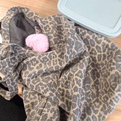 Bolsa, ha sido reportado por Connexxion Haarlem AML con iLost