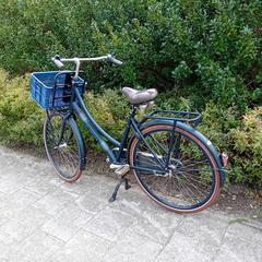 Fiets, come riportato a iLost