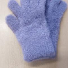 Kleding - Handschoenen, zoals gemeld door Centraal magazijn met iLost