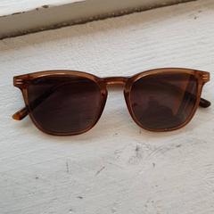 Ulleres de sol Licht bruin, segons ha informat DierenPark Amersfoort mitjançant iLost