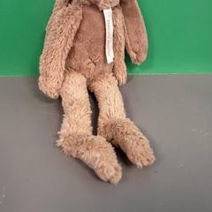 Knuffel がiLostで Diergaarde Blijdorp によって報告されました