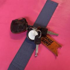 sleutels, som rapporterats till iLost