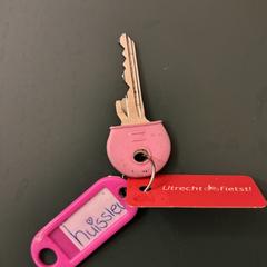 (Huis)sleutel met roze sleutelhanger, as reported to iLost