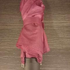 Dáždnik, ako bolo nahlásené Arriva Limburg Zuid pomocou iLost