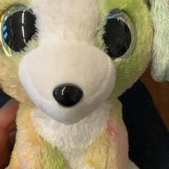 Knuffel, as reported by Het Amsterdamse Winterparadijs using iLost