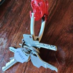 sleutelbos, como reportado ao iLost