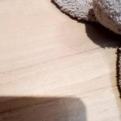 Plüss, amint azt Beekse Bergen Resorts en Hotel az iLost segítségével jelentette.