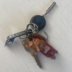 Sleutels keys sleutelbos olifantje, segons s'ha informat a iLost