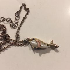 Ketting dolfijn / walvis, som rapporterats till iLost