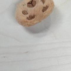 Brosche, gemeldet von IKEA Gent über iLost