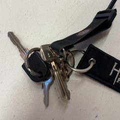 İLost kullanarak GVB tarafından bildirildiği gibi Anahtarlık