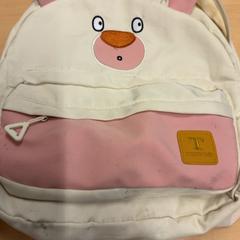 Bag, as reported by RET using iLost