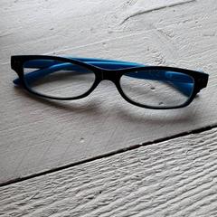 Kinderbril, como reportado por DierenPark Amersfoort utilizando o iLost