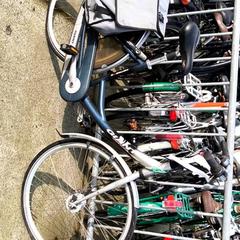 Bicicleta feminina Giant, segundo informou Stadswerk072 usando iLost