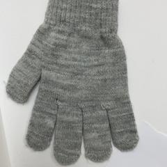 Gants, a été signalé par Schönbrunn "Group Center" utilisant iLost