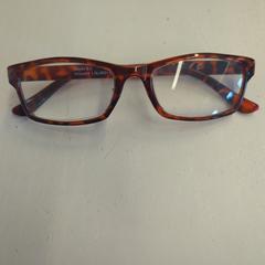 Leesbril, rapporterat av GVB med iLost