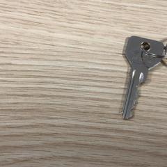 Llave, ha sido reportado por Diakonessenhuis Utrecht con iLost