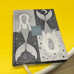 Llibre, segons ha informat IKEA Delft mitjançant iLost