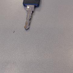 Sleutels, zgłoszono przez Walibi Holland przy użyciu iLost