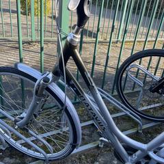 Grijze Damesfiets Batavus, som rapportert til iLost