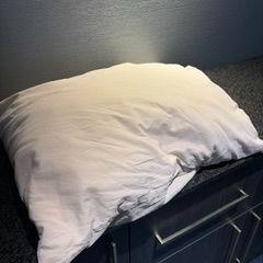 Pillow wit kussen, as reported by Van der Valk Hotel Wolvega Heerenveen using iLost