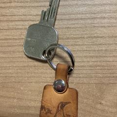 Clau, segons ha informat Pathé Zwolle mitjançant iLost