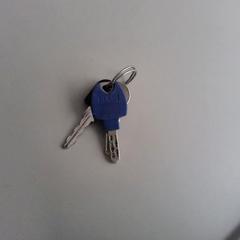 Sleutels, gerapporteerd met iLost