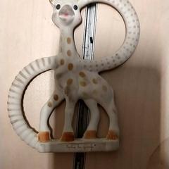 Giraffe, zoals gemeld door IKEA Zwolle met iLost