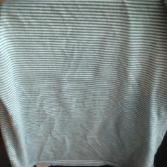 T shirt, zoals gemeld door Van der Valk Hotel Veenendaal met iLost