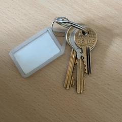 Clé, a été signalé par Schönbrunn "Group Center" utilisant iLost