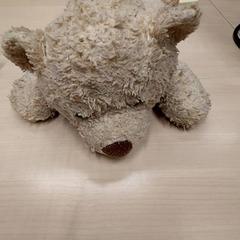 Coperta, come riportato da IKEA Toulouse utilizzando iLost