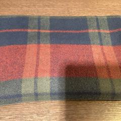 Xal rood/groen - 280226 HANS2, segons ha informat Ziggo Dome mitjançant iLost