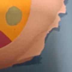 本 Blauw がiLostで De Tovertuin によって報告されました
