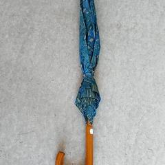 Paraplu, zoals gemeld door Centraal magazijn met iLost