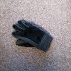 Handschoen, a été signalé par Burgers' Zoo utilisant iLost