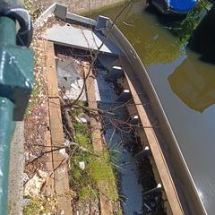 Boat, iLost-i jakinarazi zaion moduan