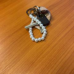 Llaves, ha sido reportado por Blauwnet Zwolle con iLost