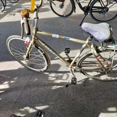 Bicicleta de hombre, ha sido reportado por Gemeente Roermond con iLost