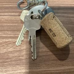 Keys - 151225BIDF, as reported by Ziggo Dome using iLost