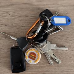 Sleutelbos, iLost-i jakinarazi zaion moduan