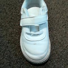 구두 Wit, iLost를 사용하여 Burgers' Zoo에 보고됨