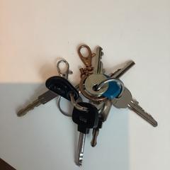 المفاتيح، كما تم الإبلاغ عنه بواسطة Gemeente Amsterdam - Bureau Gevonden Voorwerpen عبر iLost