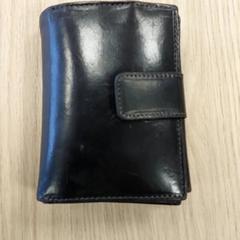 Brieftasche, gemeldet von Regio Antwerpen - Brussel über iLost