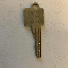 Nøkkel, som rapportert av Artis ved bruk av iLost