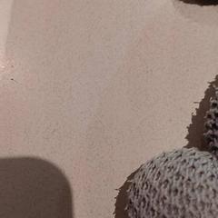 Peluche, ha sido reportado por De Efteling con iLost