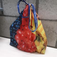 Tas, rapporterat av Arriva Oost-Brabant med iLost