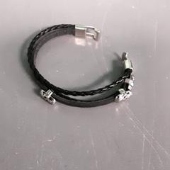 Pulseira, como reportado por Diergaarde Blijdorp utilizando o iLost